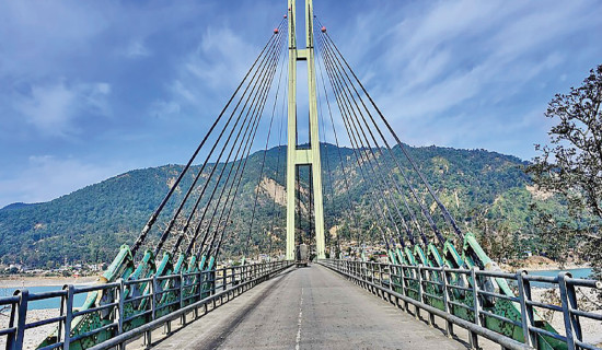 Govt moves to terminate long-stalled projects