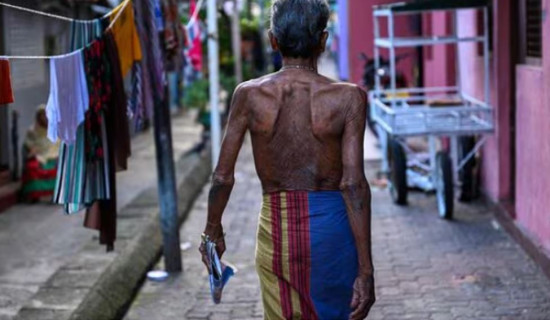 673 million people go to bed hungry every night: UN