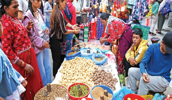 Tihar: Festival of Lights begins