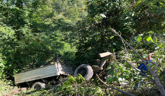 Truck thief dies in Panchthar accident like in reel