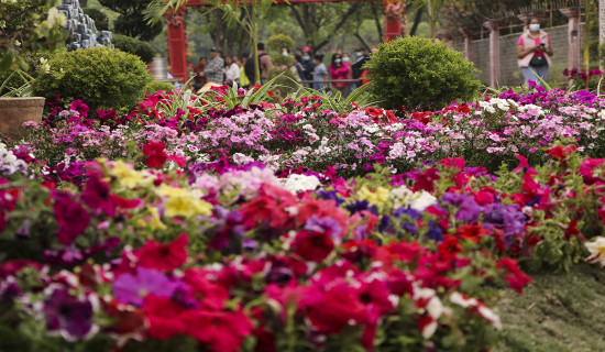 Tihar Flora Expo concludes with turnover of Rs 10 million
