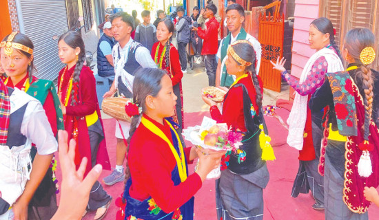Youth killed due to hornet sting