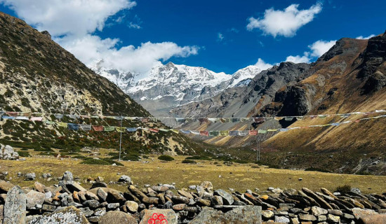 Annapurna mountain range seen from Yak Kharka