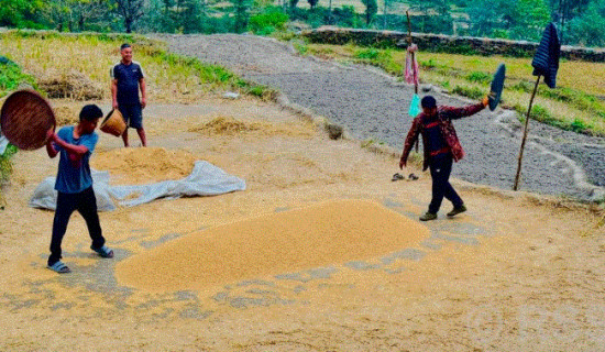 Export of agricultural products from Parbat surpasses Rs 650 million