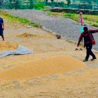 62 go missing in Trishuli after landslide hits 2 buses