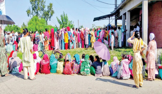 Communication, IT issues included in Govt Policy, Programme