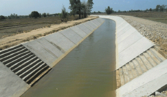 Department of Water Resources and Irrigation terminates 12 irrigation contracts