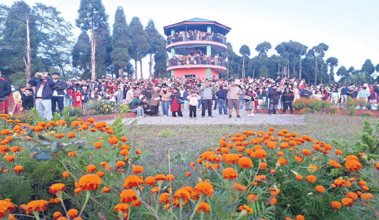 Tourists flock to Antu, other destinations in Ilam