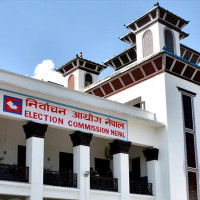 Selection and continuation of projects based on progress report