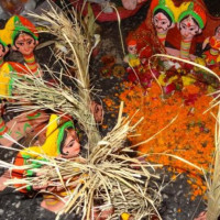 Of 780 MPs, 725 cast vote; NDA's Dhankhar frontrunner