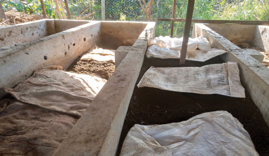 Bhatte: Model village for organic farming