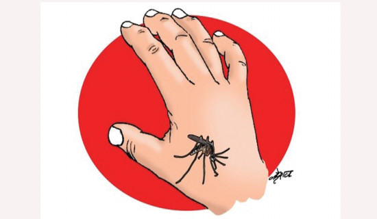 Dengue rapidly spreading in Valley