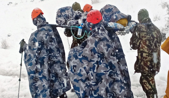 Tiger devours three crocs