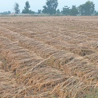 Second phase vaccination for children aged 5-12 from Aug 21