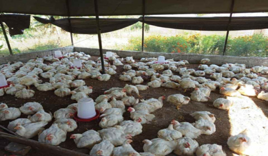 Tribeni School in Gorkha empowers students with practical skills