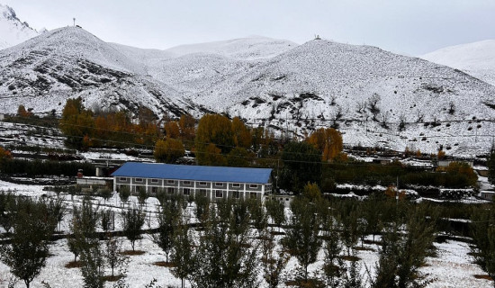 Efforts to pass global ocean protection treaty fail