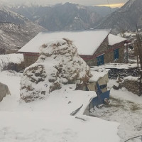 Corruption case against Foreign Employment Department accountant