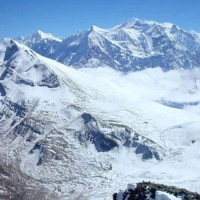 EC to provide real-time vote counting updates online