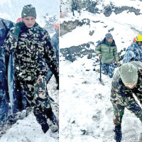 Organic orange of Bajura not getting market