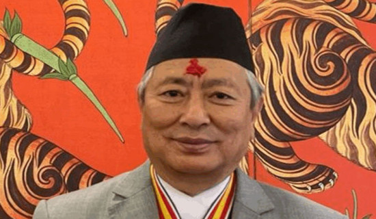 Bhattachan held on fraud charge