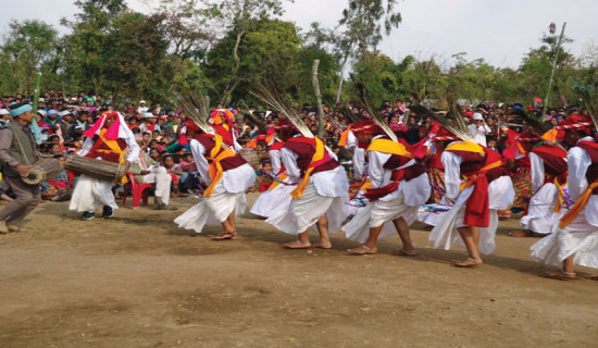 Consume Green Salads Cautiously