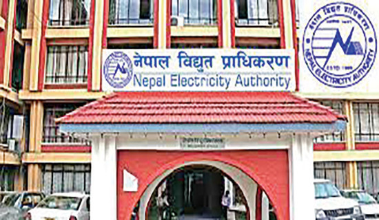 NEA receives approval for electricity export