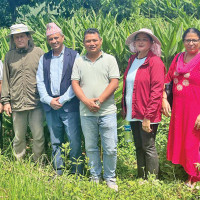 Construction of 220 kV substation at Udipur completes