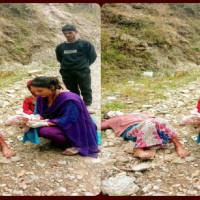 Monkeys add woes to Butwal locals