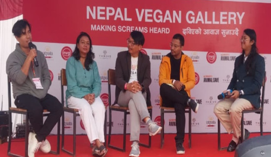 Electricity reaches remote villages of Sindhupalchowk