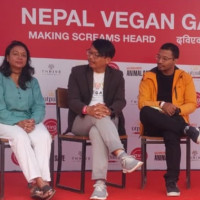 Monkeys add woes to Butwal locals