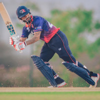 Monkeys add woes to Butwal locals