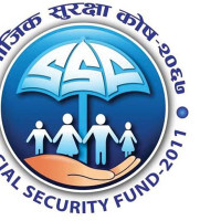 13 snow leopards recorded in Kanchenjunga Conservation Area