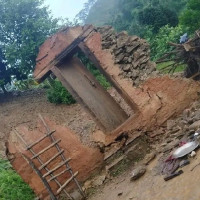 13 snow leopards recorded in Kanchenjunga Conservation Area