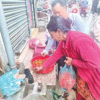 Increasing number, skills of midwives to reduce maternal mortality stressed