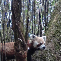 Landslip blocks Beshisahar-Chame roadway