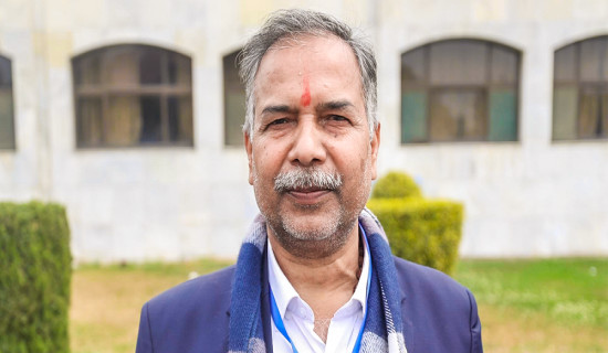 Vice-President designated to perform President's role