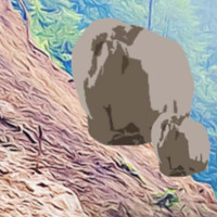 Weather: Light rain forecast in some areas of hilly and mountainous region