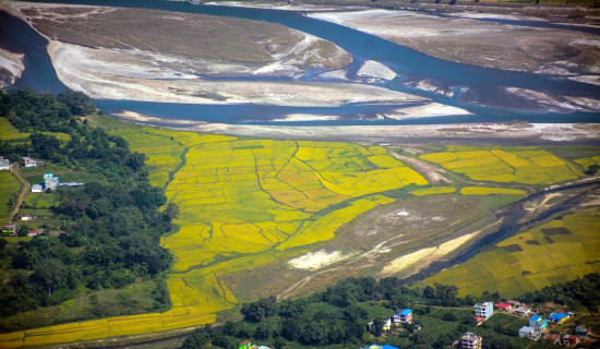 Madi River and an enchanting paddy field