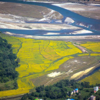 More red pandas spotted in Jaljala, Muna and Mareni areas in Dhawalagiri