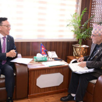 More red pandas spotted in Jaljala, Muna and Mareni areas in Dhawalagiri