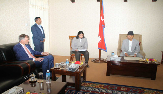 German Ambassador calls on Acting President Yadav