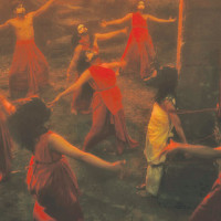 World's most expensive feather sold at auction