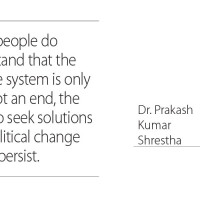 Blooming Marigold flowers