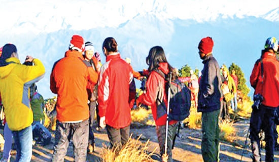 Tourist arrivals record high in October