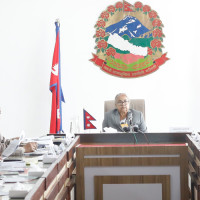 Citizenship Bill follows basic provisions of Constitution: Minister Khand