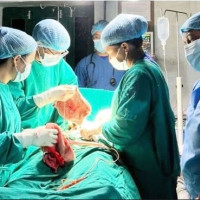 Govt asks local bodies not to damage cable network