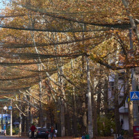 Groundbreaking green-fuelled flight to take off