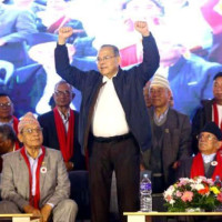 14 nests of endangered vultures found in Baitadi