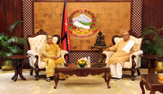 PM Karki, former Prez Yadav meet