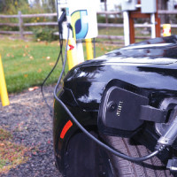 PM Karki not to offer and receive Dashain tika